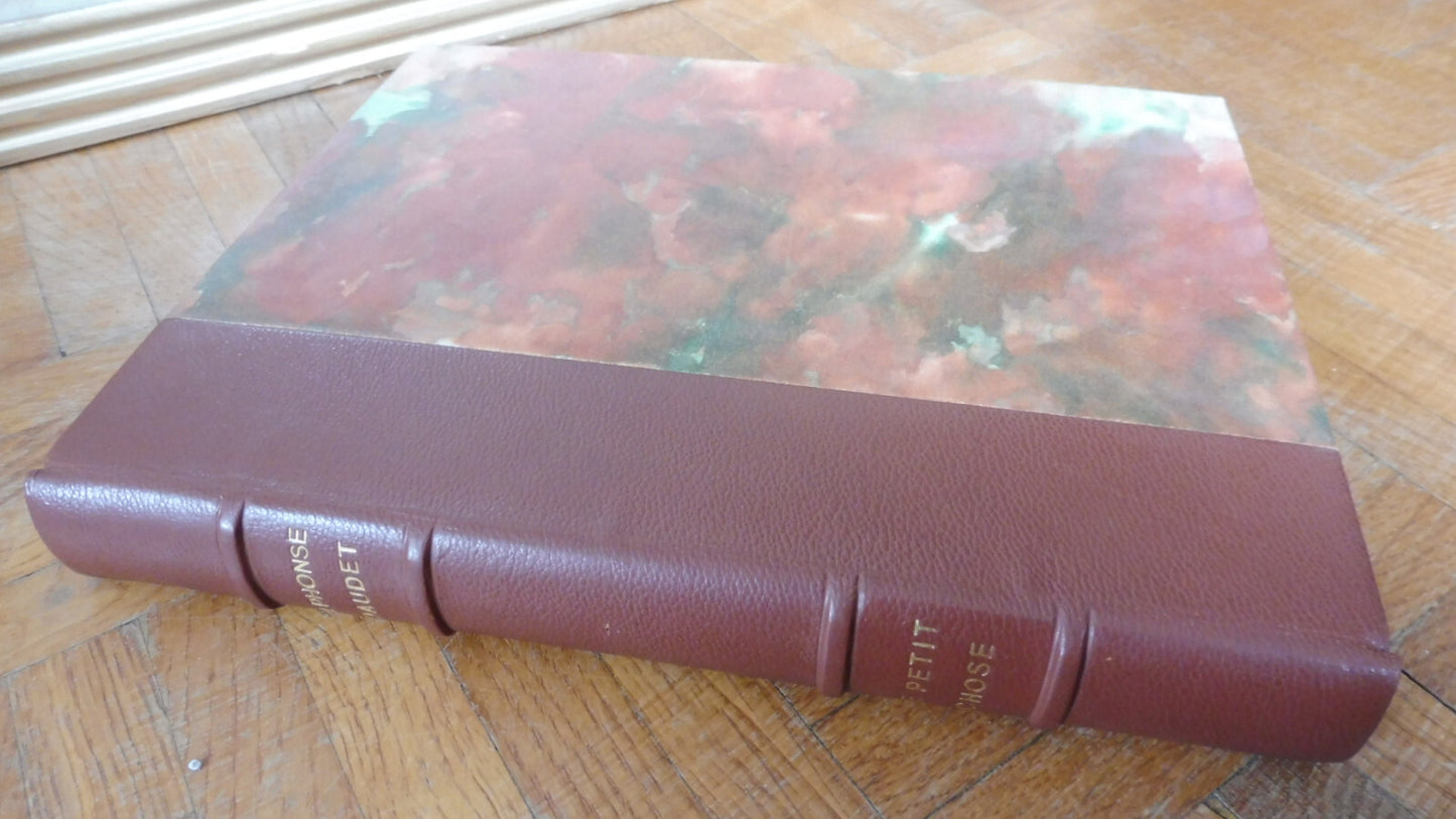 Le Petit chose (Alphonse Daudet) 1930 illus. Bagarry