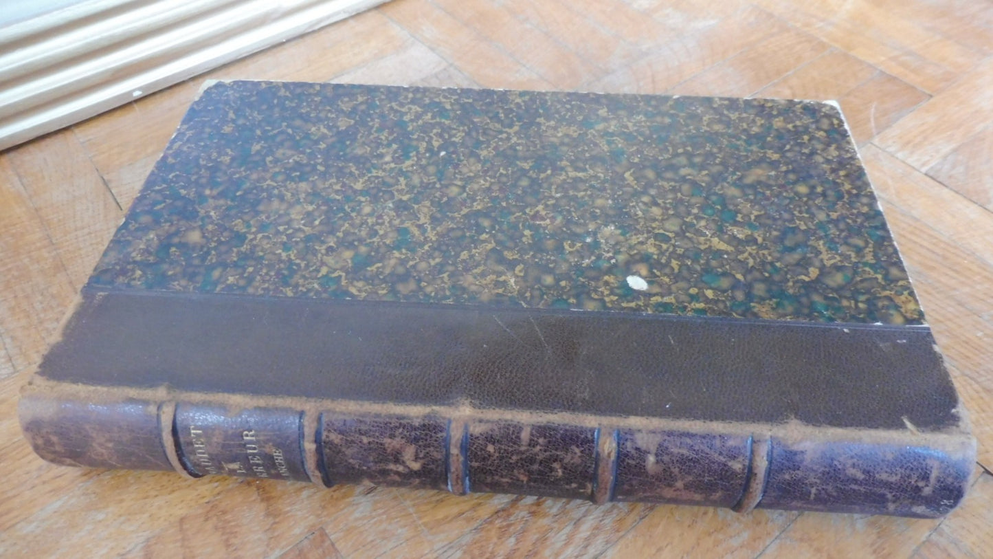 La Terreur blanche. La réaction dans le Midi en 1815 (E. Daudet) 1878