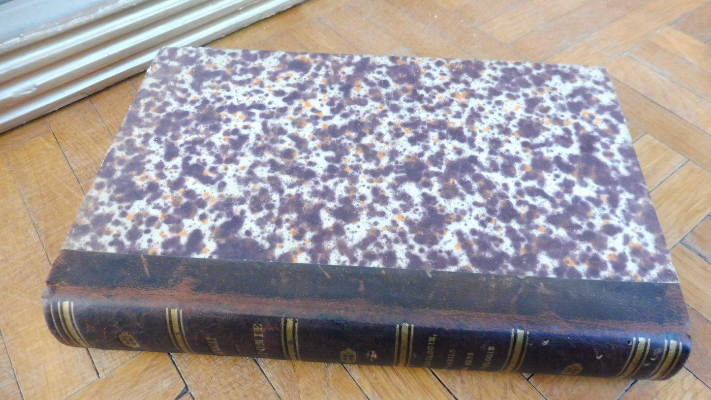 Anatomie des animaux domestiques. Splanchnologie et ovologie (Lavocat) 1847