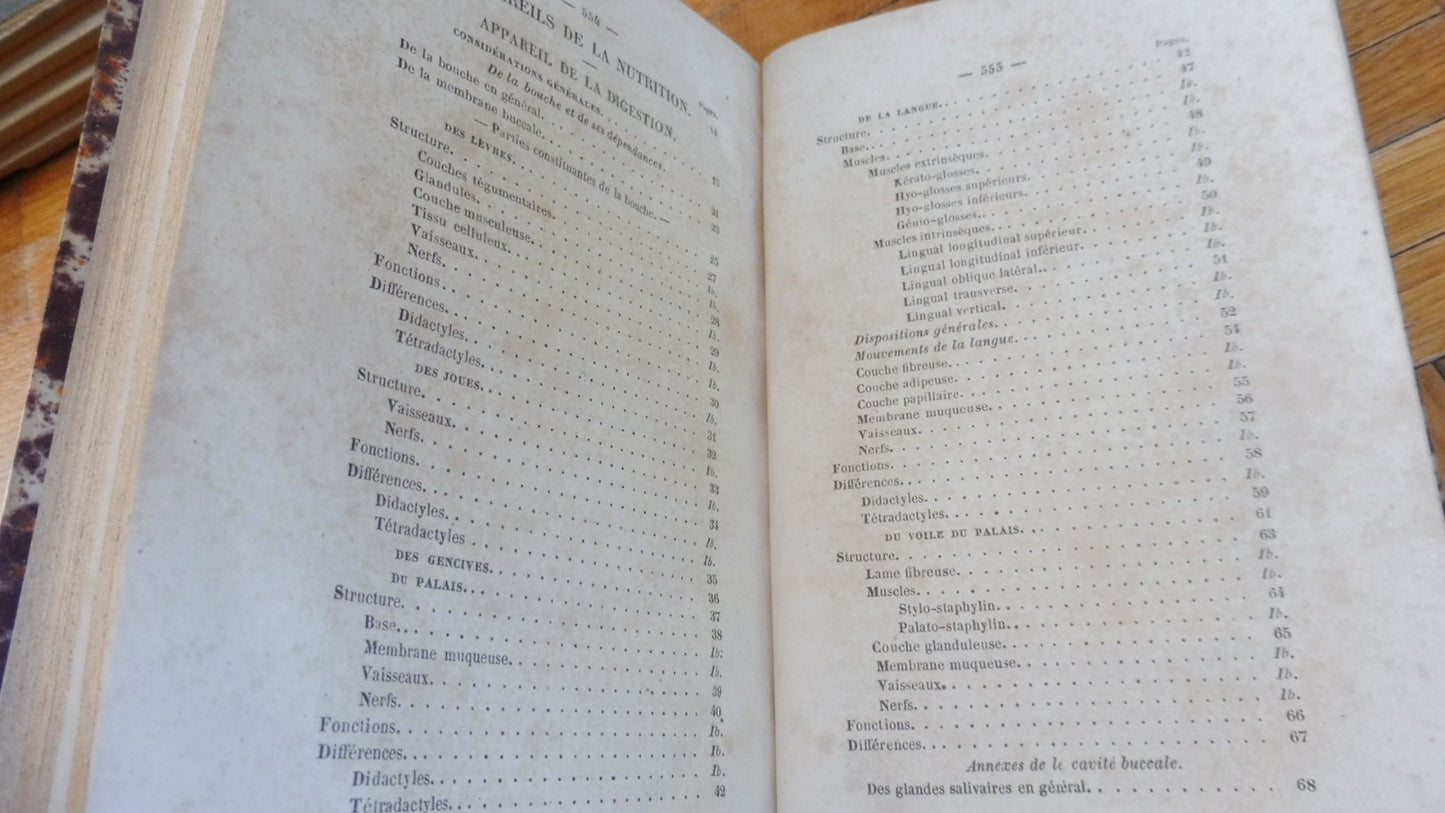 Anatomie des animaux domestiques. Splanchnologie et ovologie (Lavocat) 1847