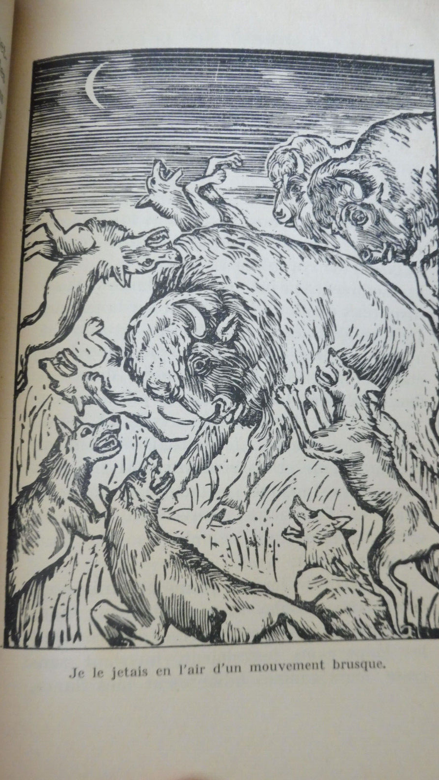 Le Jugement des bêtes (Paule Billon) 1953 illus. Olin