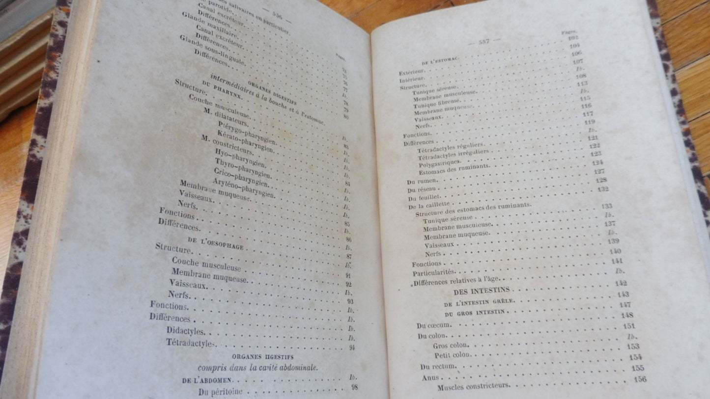 Anatomie des animaux domestiques. Splanchnologie et ovologie (Lavocat) 1847