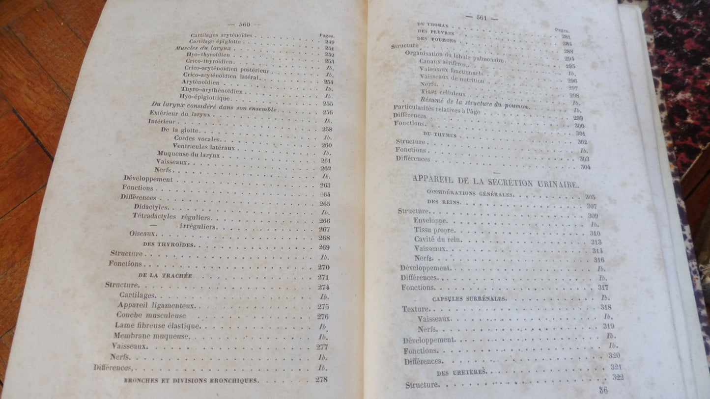 Anatomie des animaux domestiques. Splanchnologie et ovologie (Lavocat) 1847
