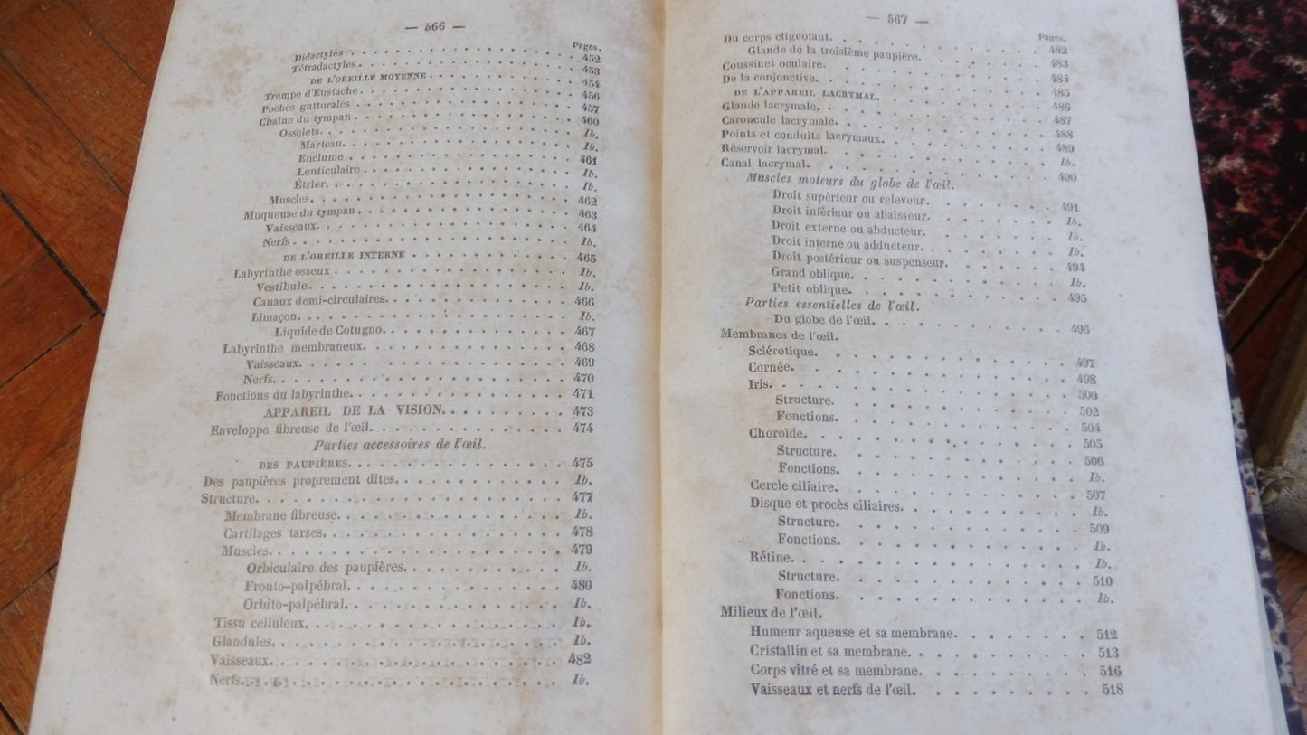 Anatomie des animaux domestiques. Splanchnologie et ovologie (Lavocat) 1847