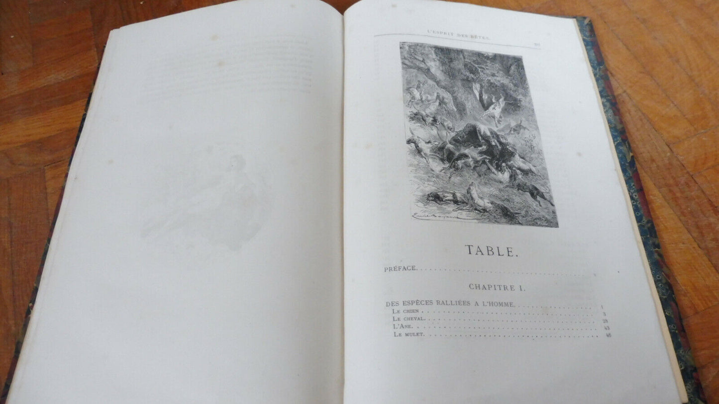 L'Esprit des bêtes (Toussenel) s.d. Illus. Bayard ZOOLOGIE