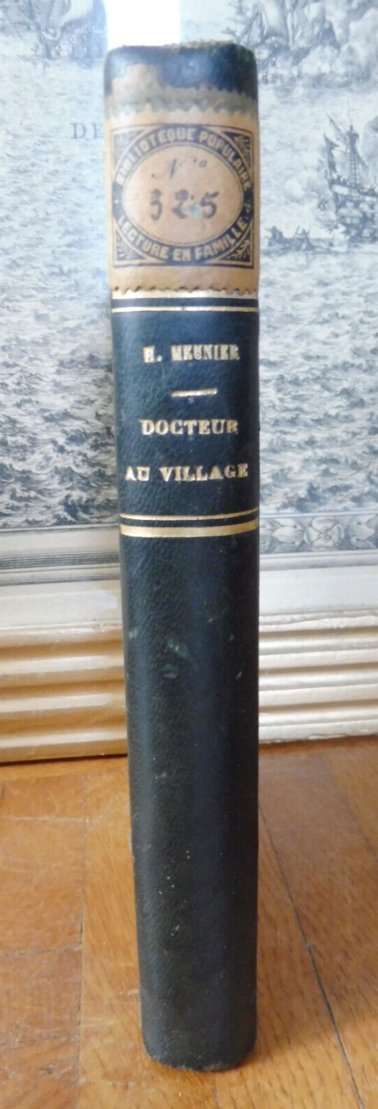 Docteur au village (Hippolyte Meunier) 1873