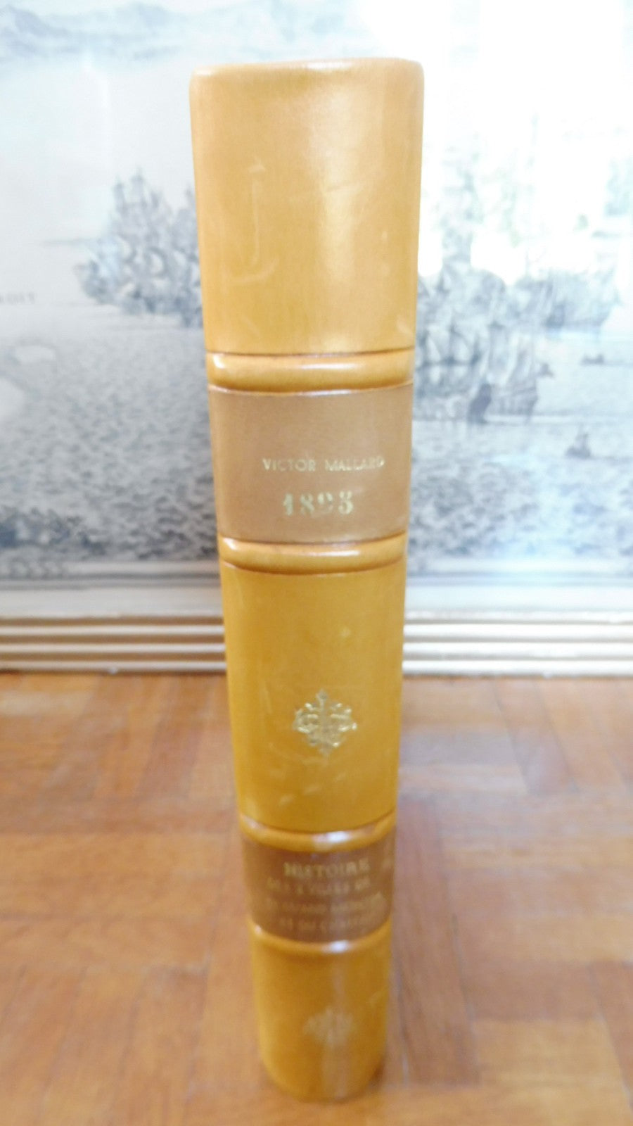 Histoire de St-Amand et du château de Montrond (V. Mallard) 1900 [REPRODUCTION]