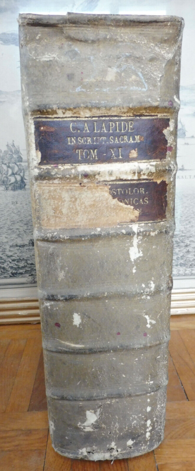 In Acta apostolorum, epistolas & apocalypsin (Cornelius a Lapide) 1717 IN FOLIO