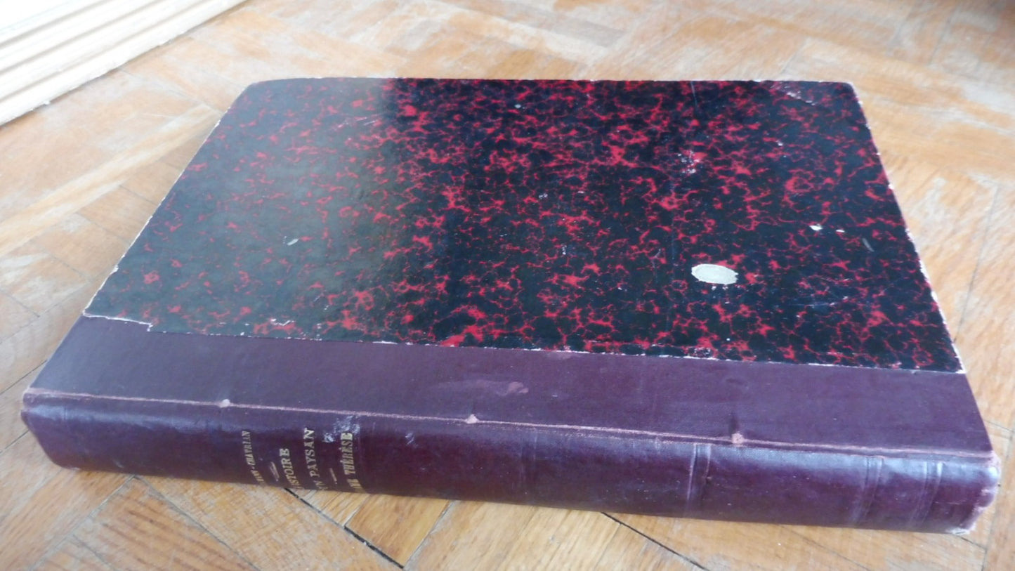 Histoire d'un paysan 1789 (Erckmann-Chatrian) s.d. illus. Schuler