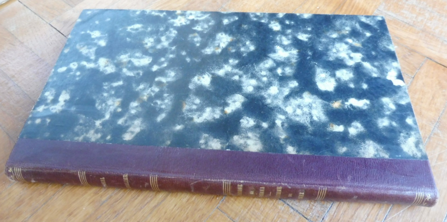 L'Isthme de Panama. Examen historique et géographique (Michel Chevalier) 1844