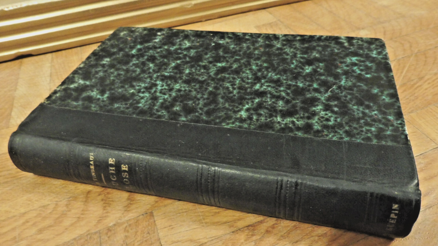 Bouche close (Léon de Tinseau) 1889