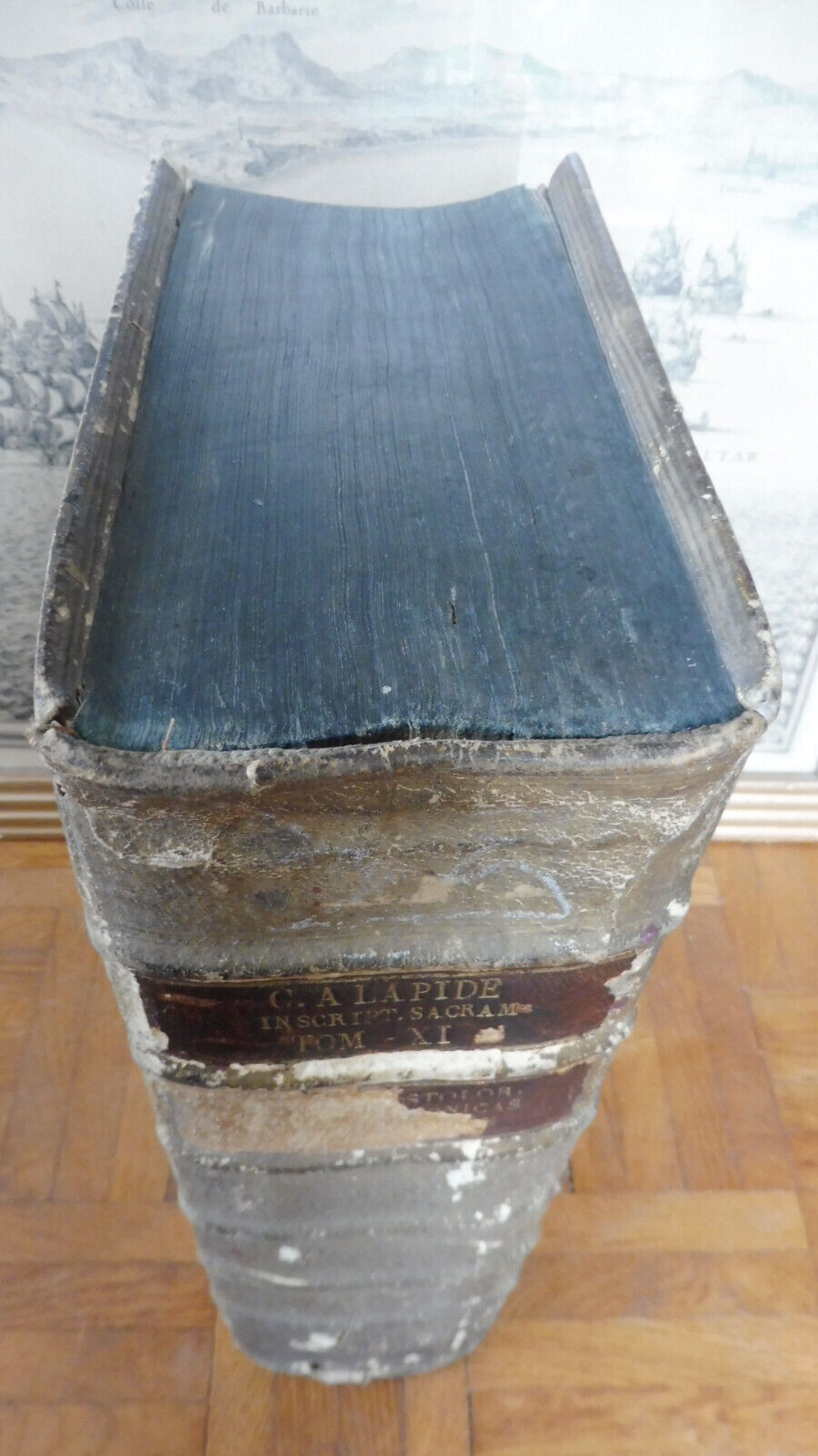 In Acta apostolorum, epistolas & apocalypsin (Cornelius a Lapide) 1717 IN FOLIO