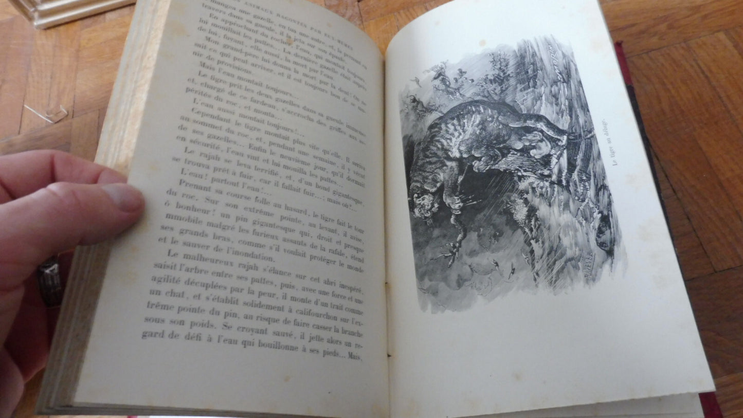 Les Animaux racontés par eux-mêmes (H. De La Blanchère) 1884