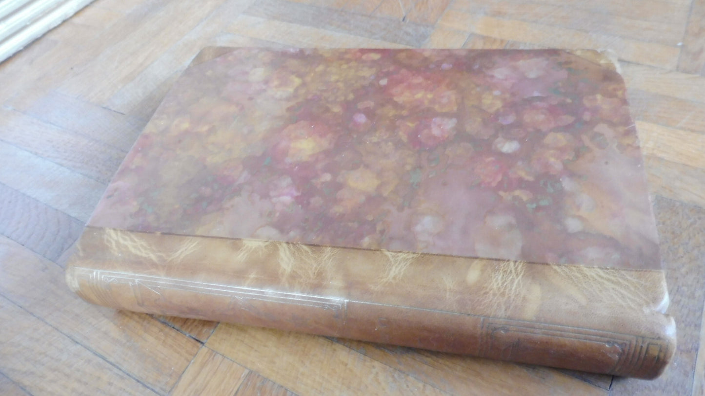 La Curée (Zola) 1927