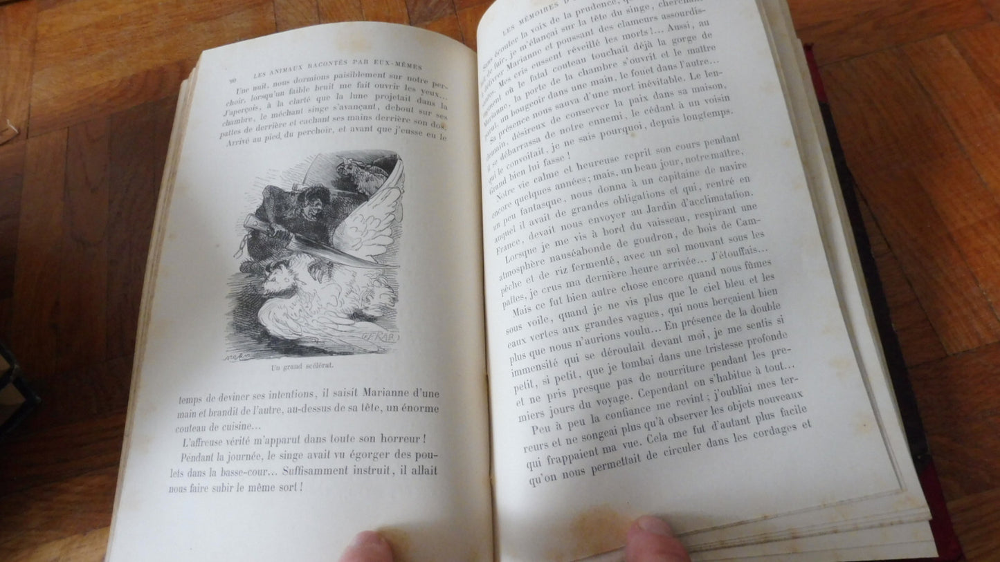 Les Animaux racontés par eux-mêmes (H. De La Blanchère) 1884