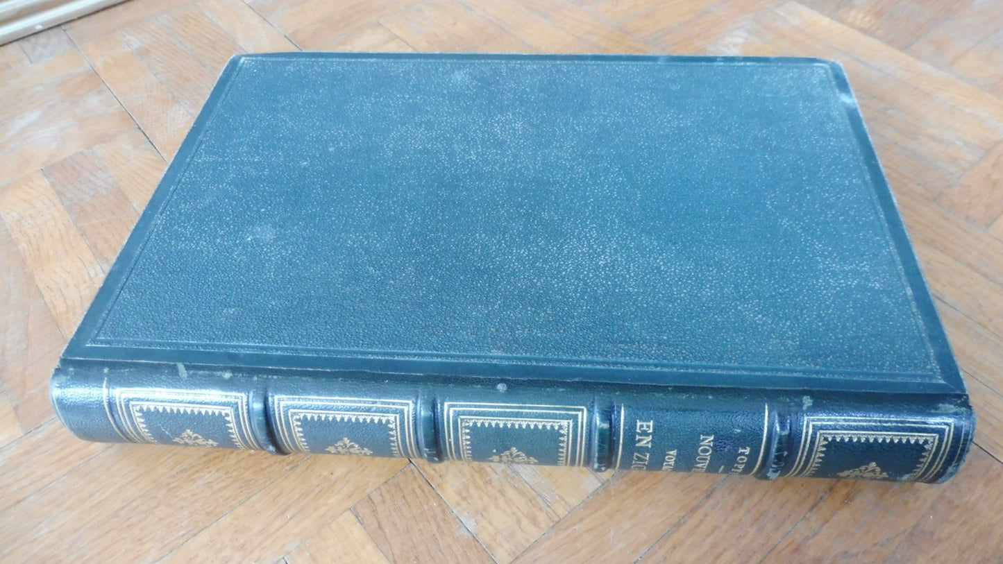 Nouveaux voyages en zigzag (Töpffer) 1864 illus. Calame, Girardet...