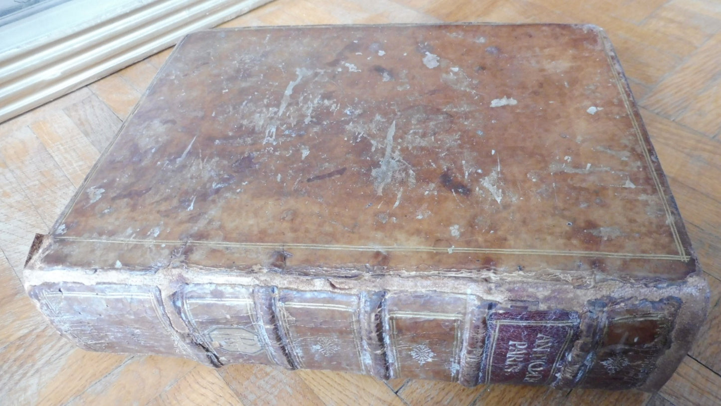 Le Théâtre des antiquités de Paris (Jacques Du Breuil) 1639