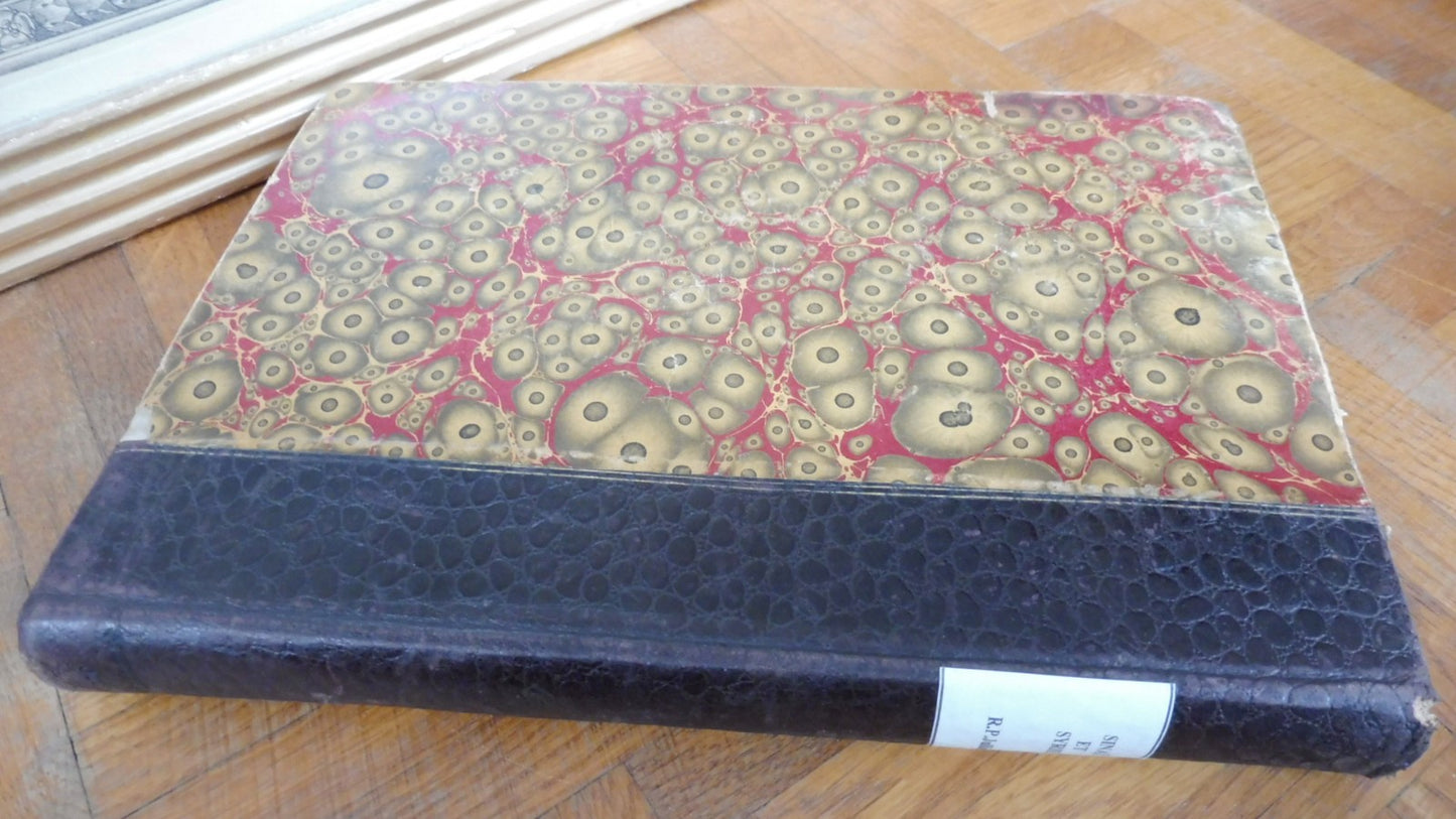 Sinaï et Syrie. Souvenirs bibliques et chrétiens (Jullien) 1893