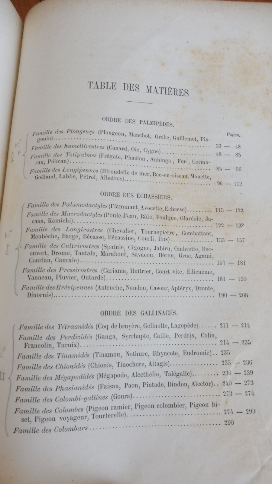 Les Oiseaux (Louis Figuier) 1876