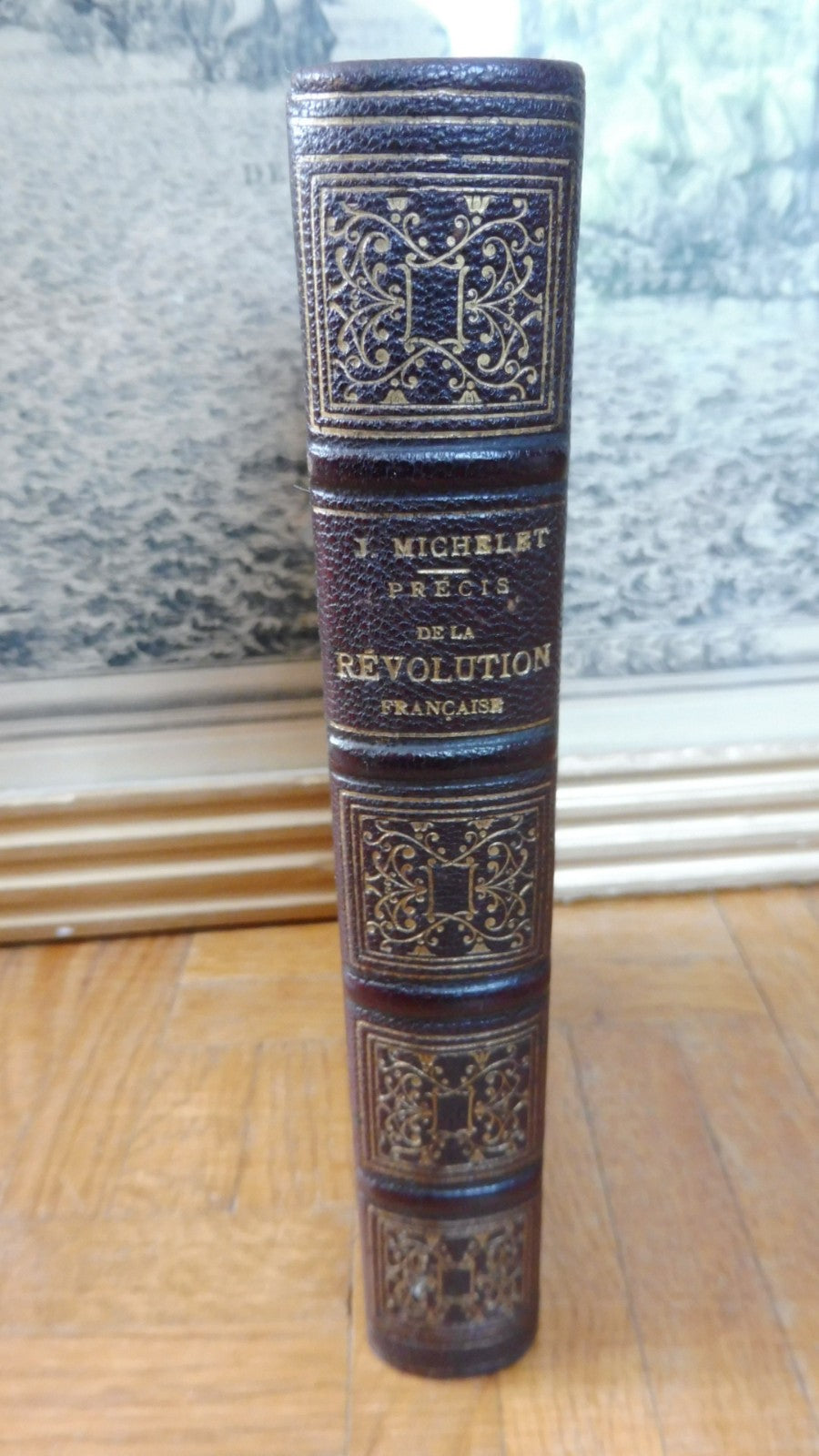 Précis de la Révolution Française (Michelet) 1890