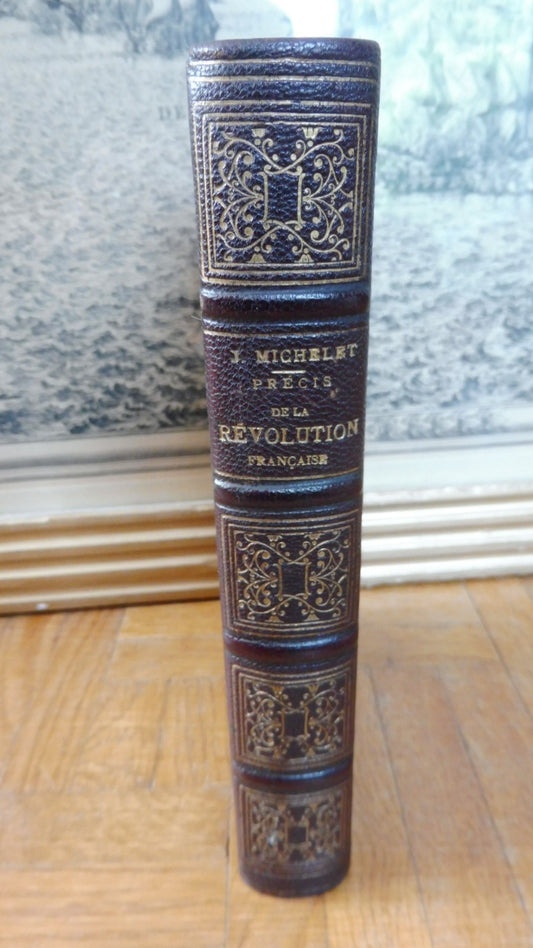 Précis de la Révolution Française (Michelet) 1890