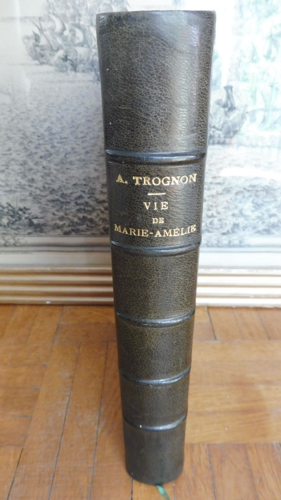 Vie de Marie-Amélie, reine des Français (Auguste Trognon) 1872