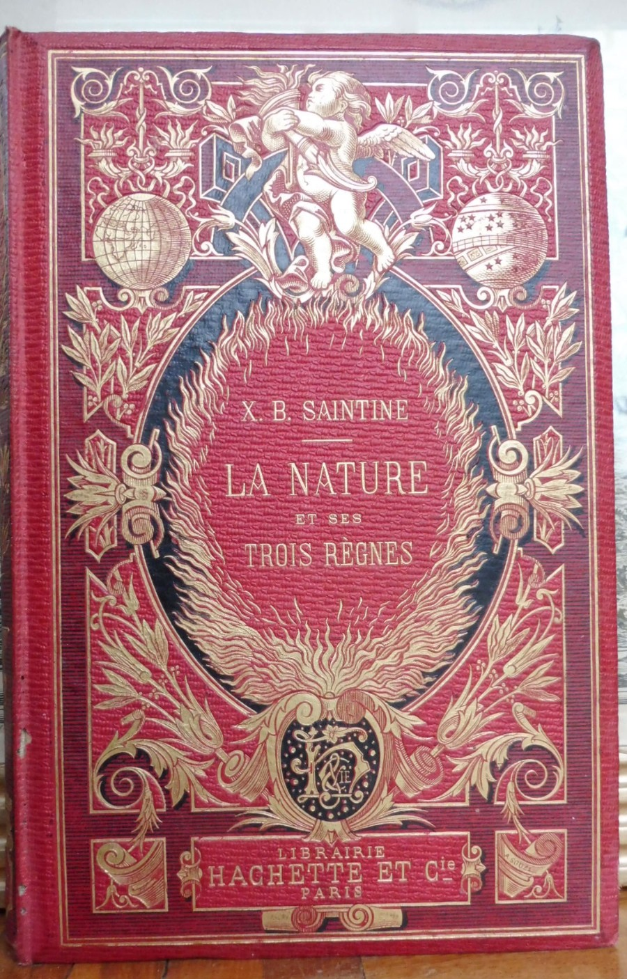La Nature et ses trois règnes (X. B. Saintine) 1874