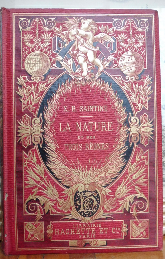 La Nature et ses trois règnes (X. B. Saintine) 1874
