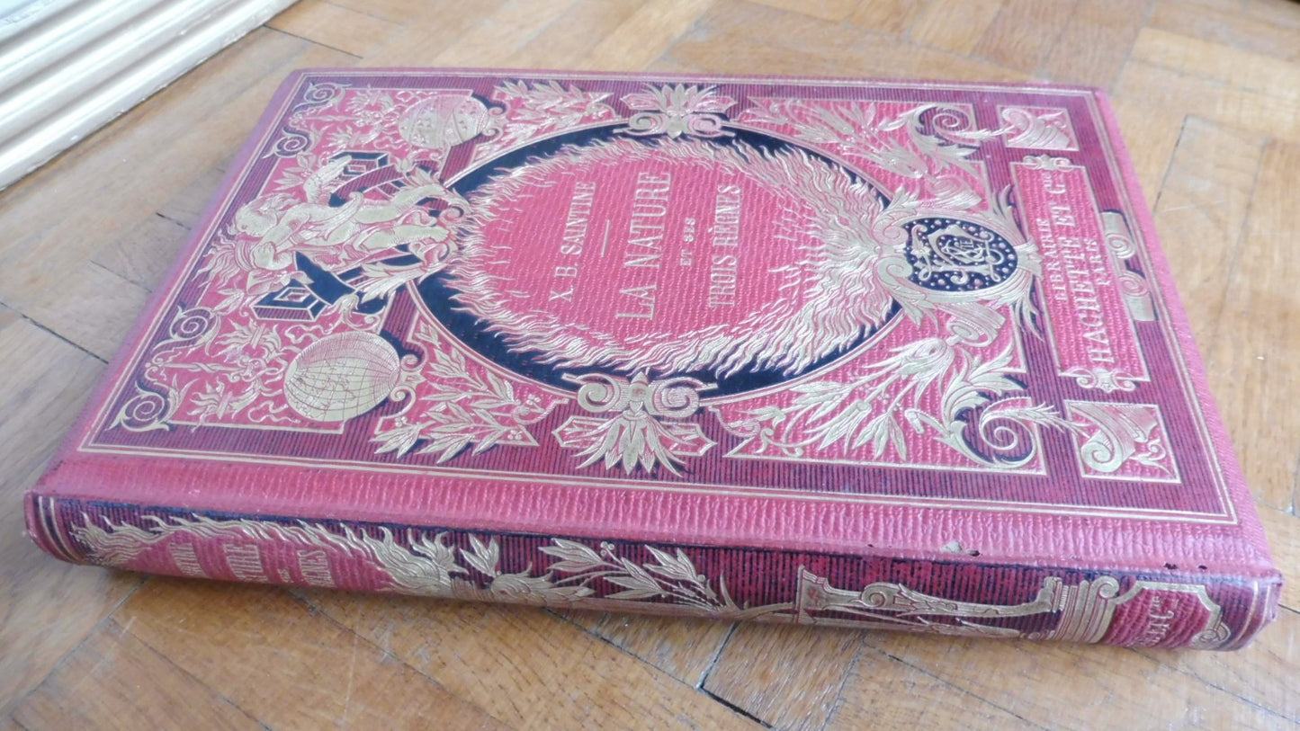 La Nature et ses trois règnes (X. B. Saintine) 1874