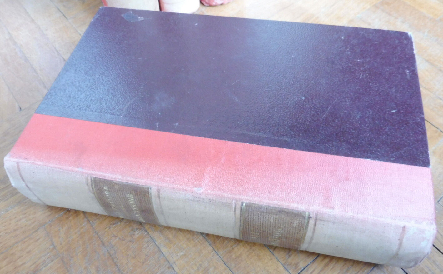 Publications 1894-1911 (René Bissauge) LOIRET VETERINAIRE