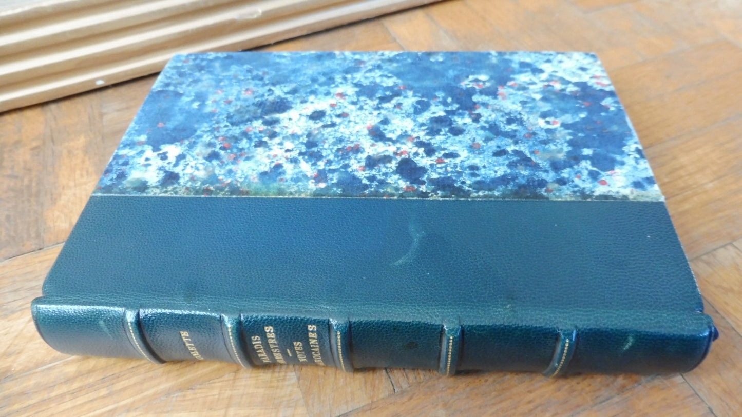 Paradis terrestre. Notes marocaines (Colette) 1958-61