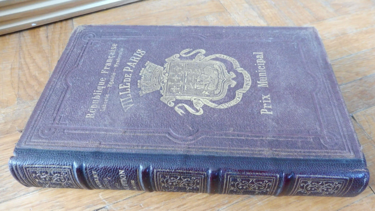 Précis de la Révolution Française (Michelet) 1890