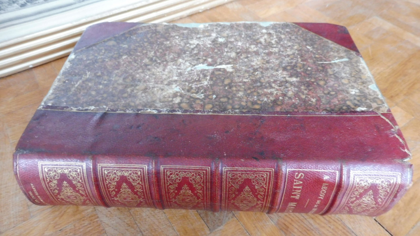 Saint Martin (Lecoy De La Marche) 1881