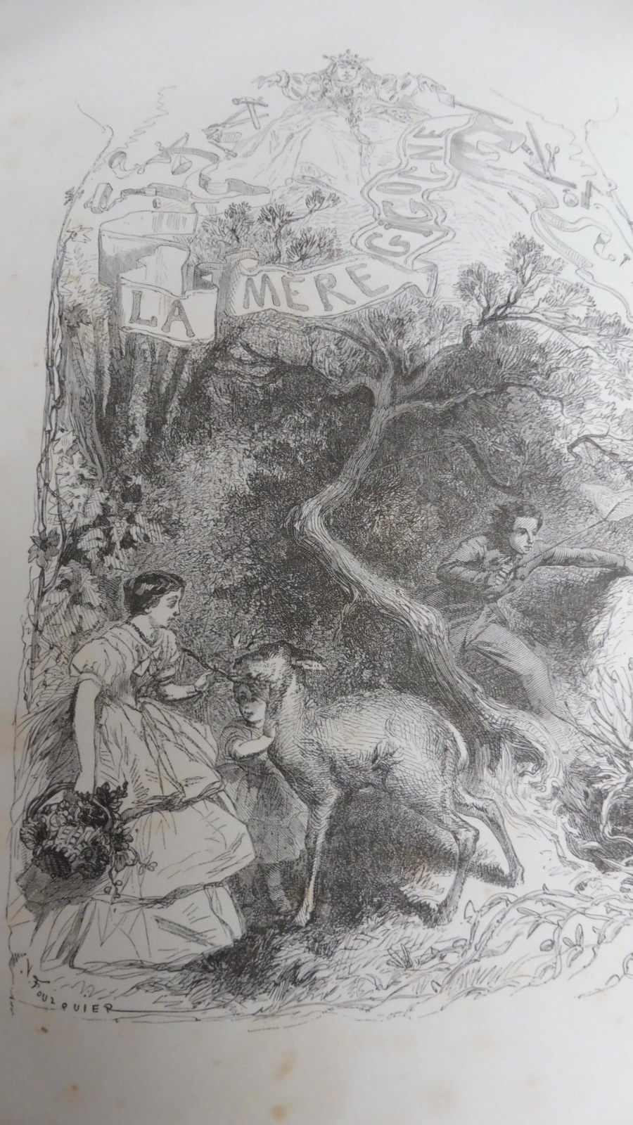 La Nature et ses trois règnes (X. B. Saintine) 1874