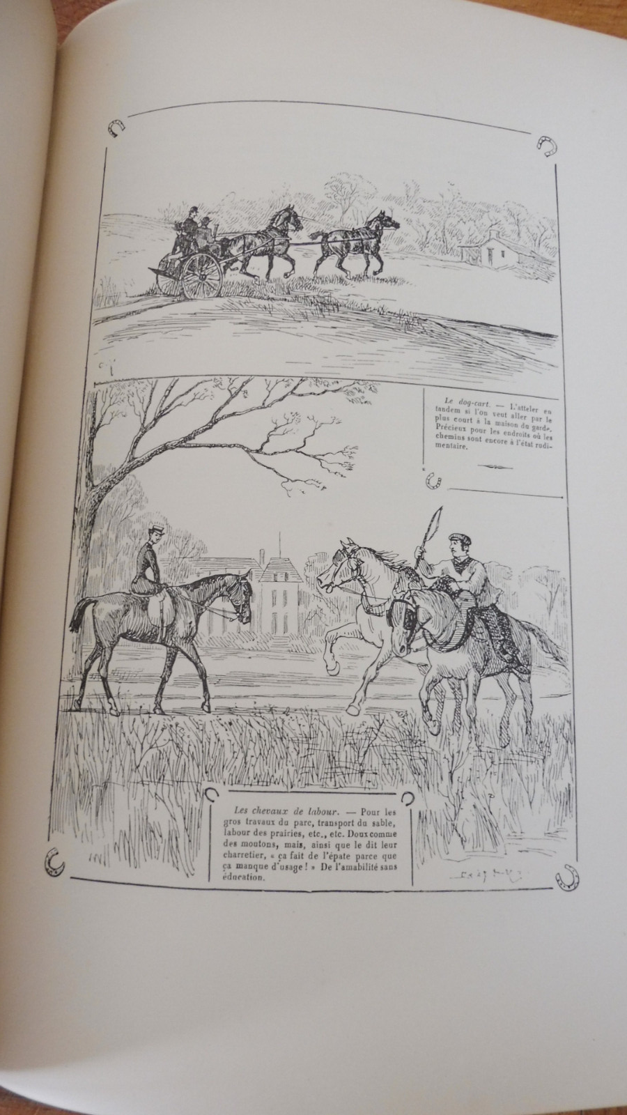 La Province à cheval - Crafty 1885 EQUITATION