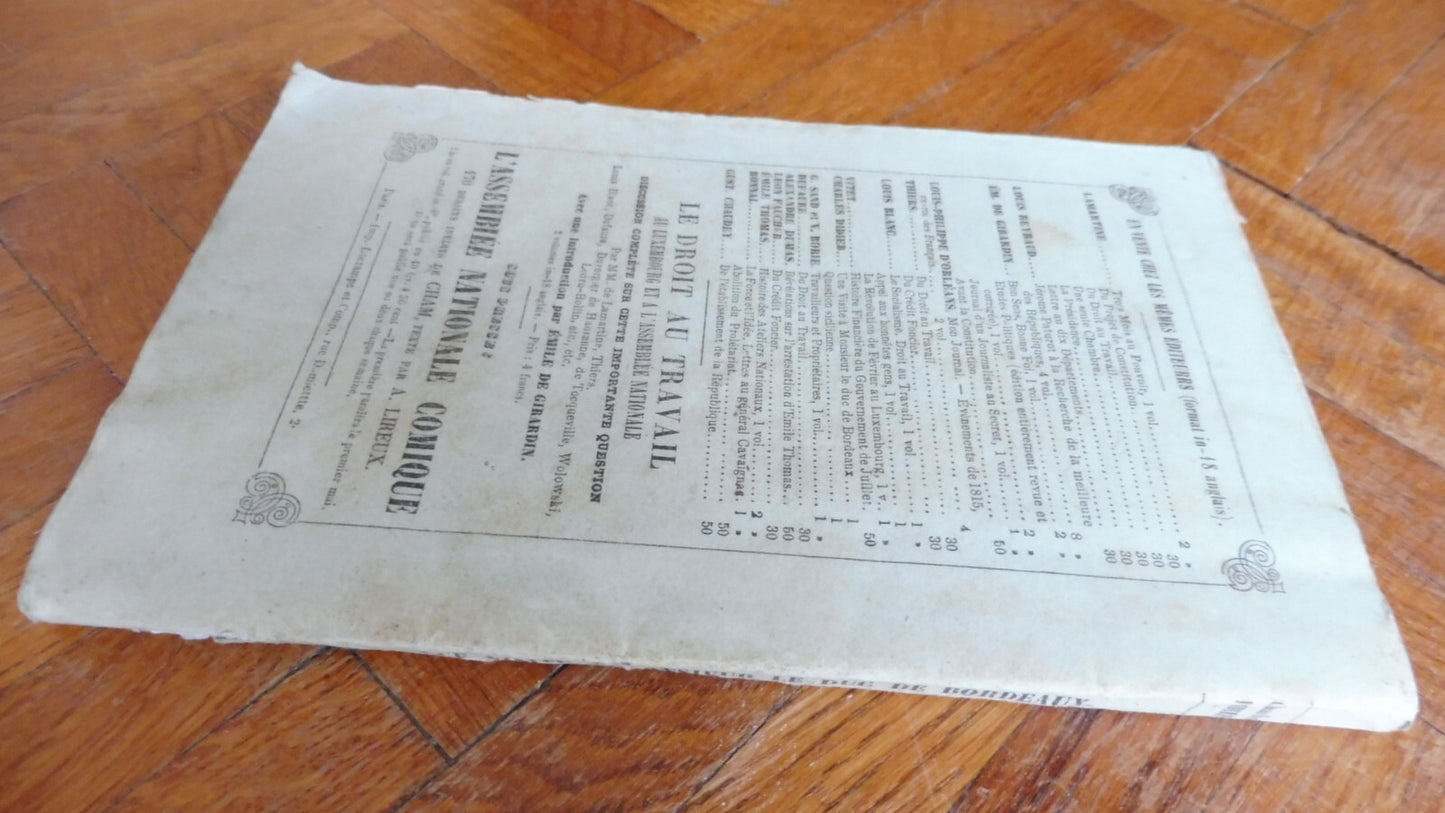 Une visite à monsieur le Duc de Bordeaux (Charles Didier) 1849