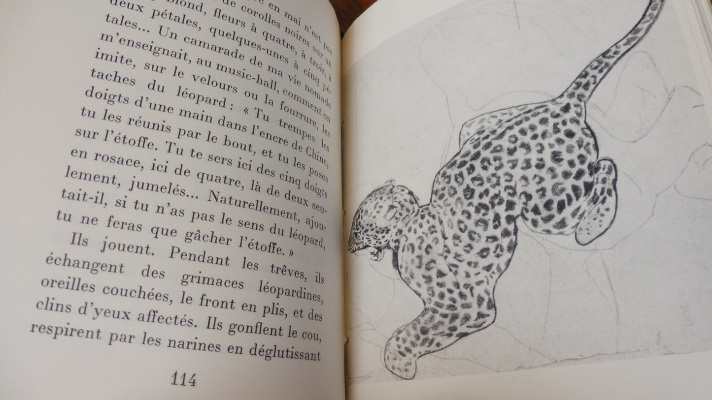 Paradis terrestre. Notes marocaines (Colette) 1958-61