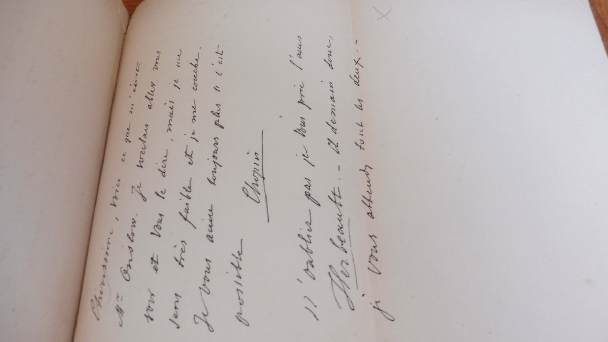 Un nid d'autographes (Oscar Commettant) 1886