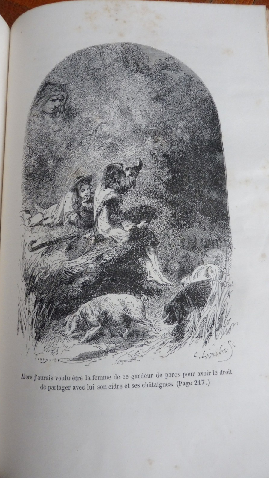 La Nature et ses trois règnes (X. B. Saintine) 1874