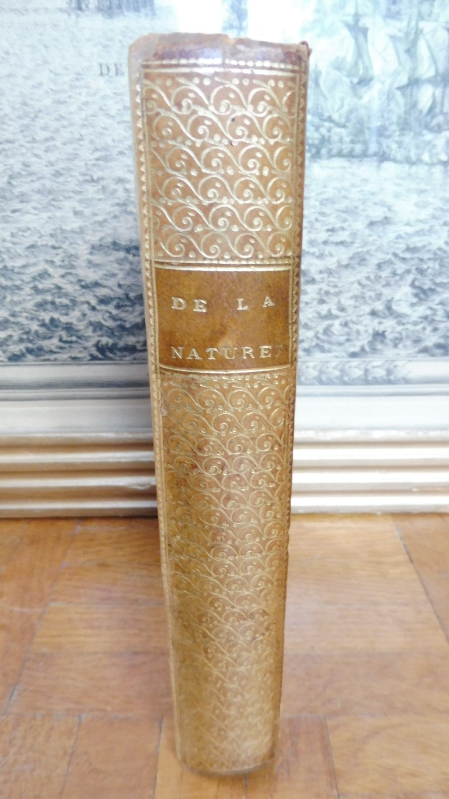 De la nature (Jean-Baptiste-René Robinet) 1761 EO EVOLUTIONNISME