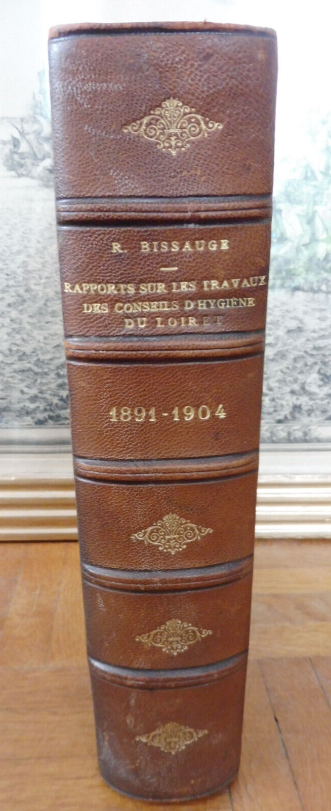 Rapport sur les travaux des Conseils d'Hygiène 1891-1904 (Bissauge) 1896 LOIRET