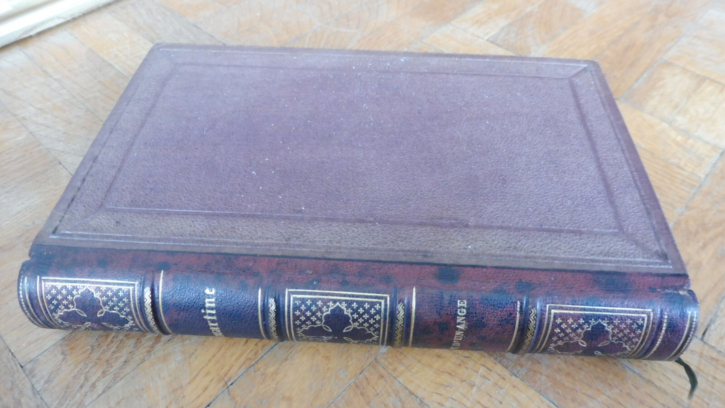 La Chute d'un ange (Lamartine) 1855