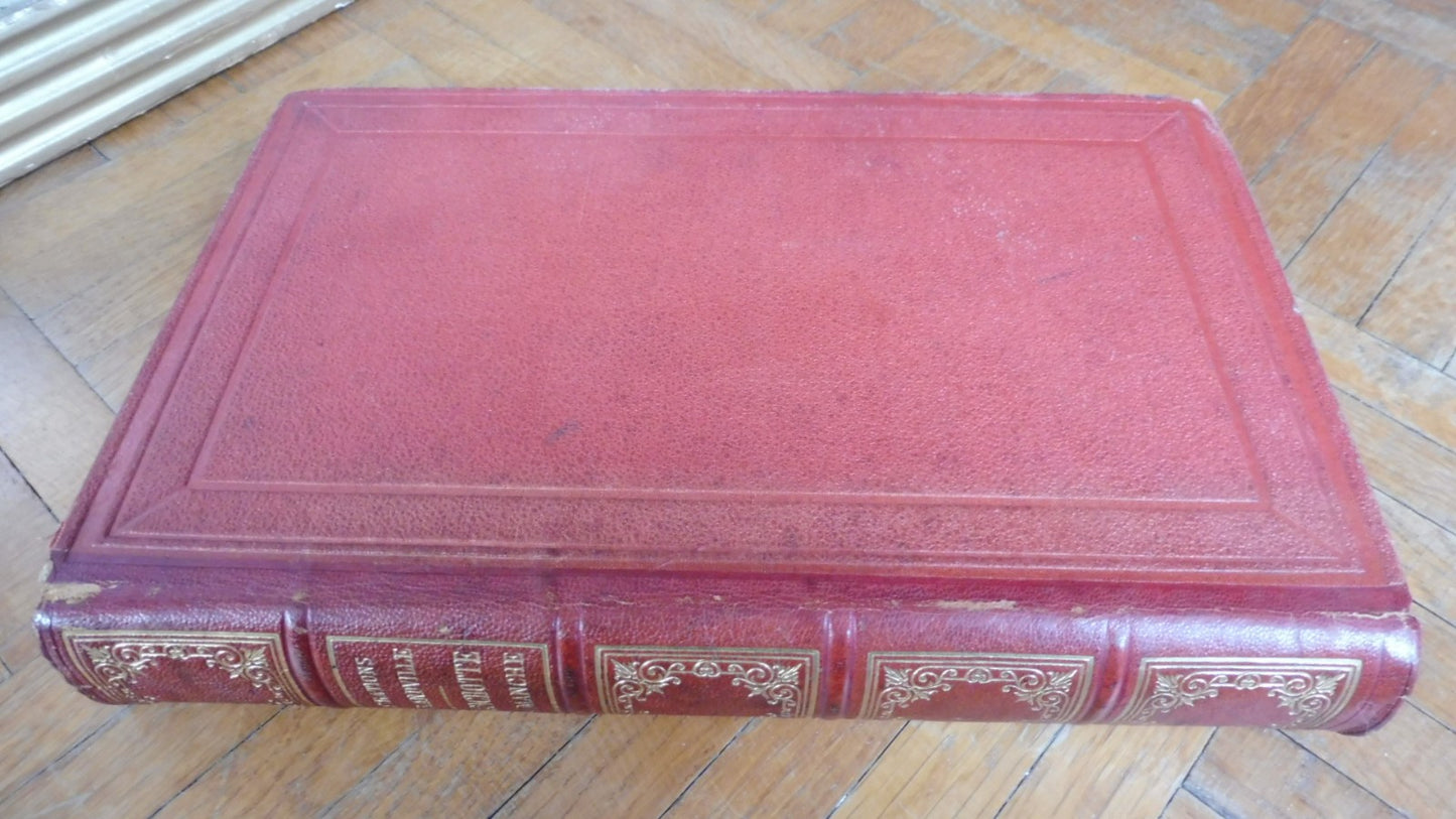 Don Quichotte (Cervantès) 1864 illus. Grandville