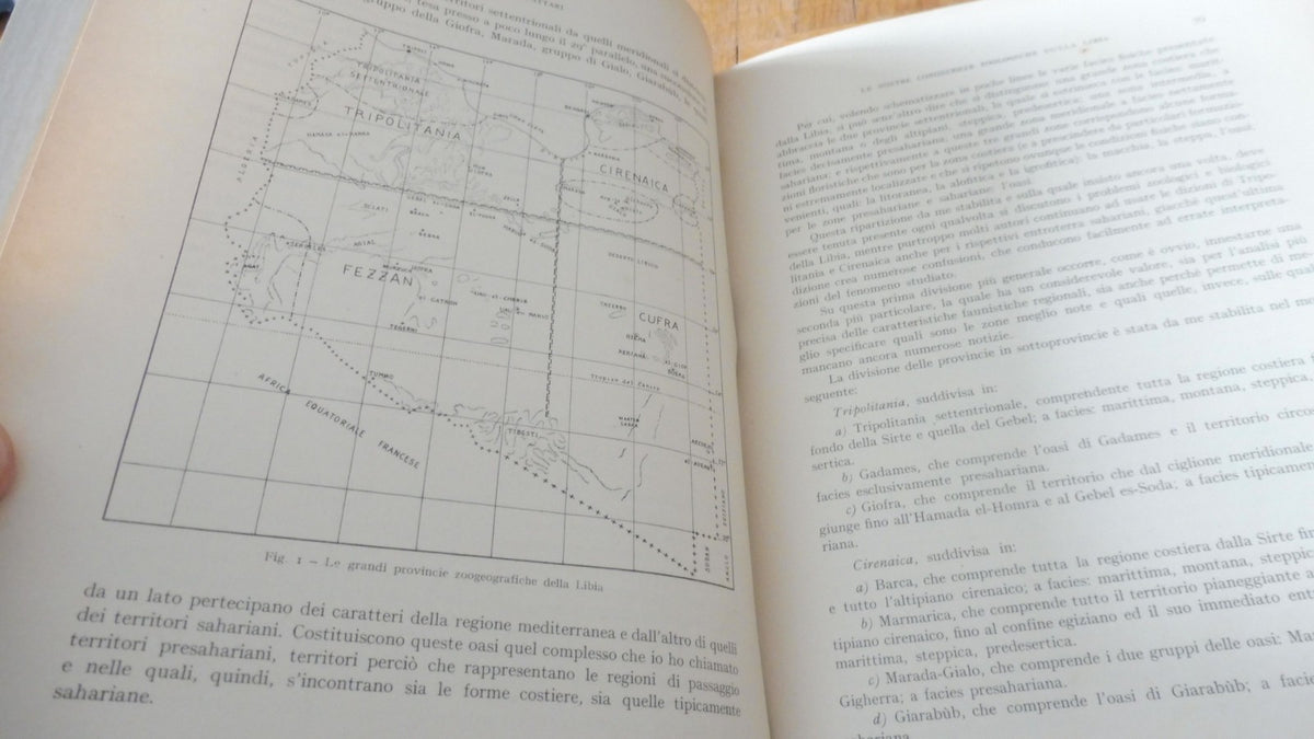 Annali del museo libico di storia naturale (Gov. delle Libia) 1939-53 4/4