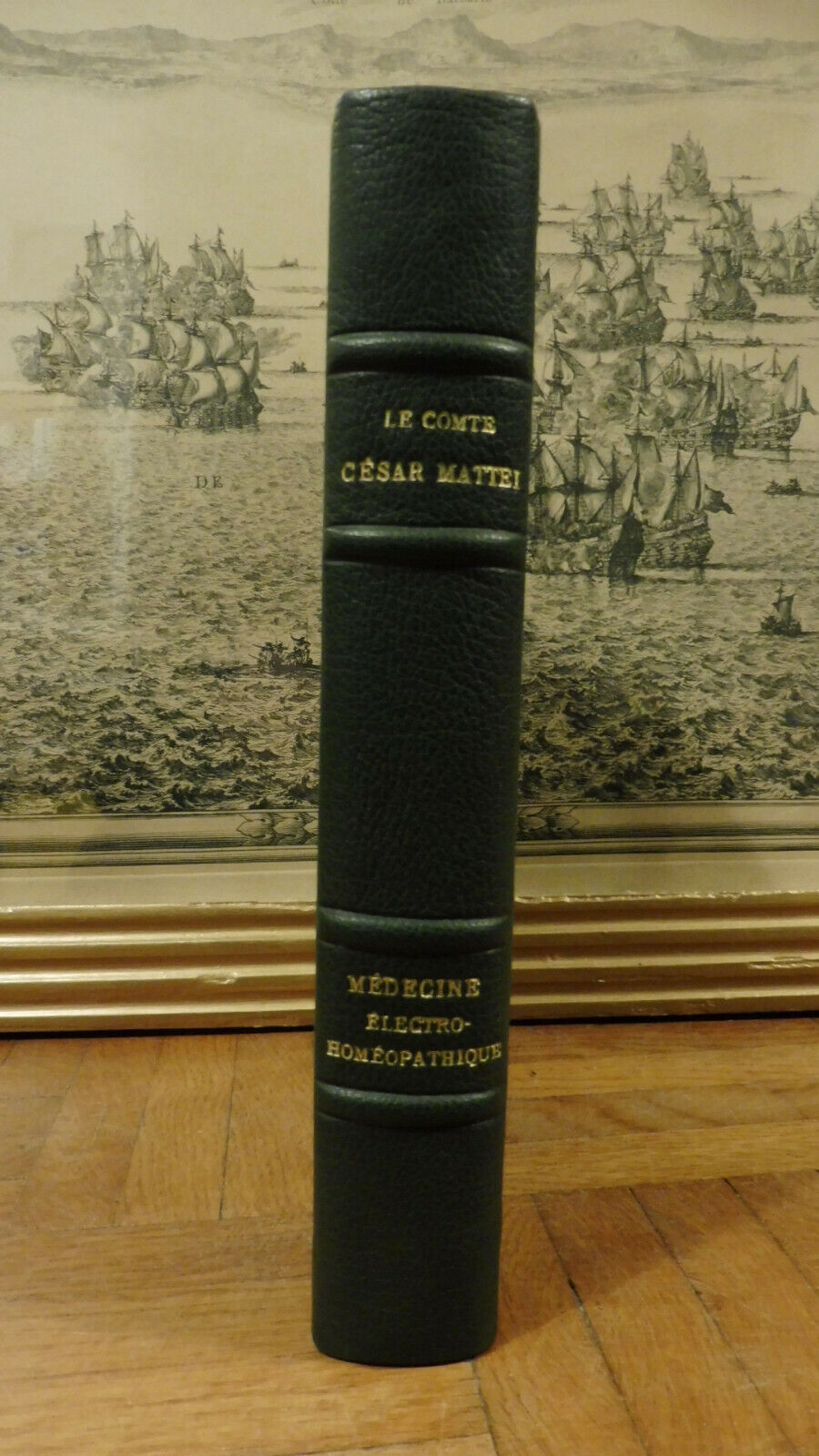 Médecine électro-homéopathique (Comte César Mattei) 1883