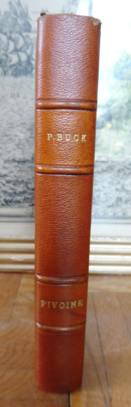Pivoine (Pearl Buck) 1961