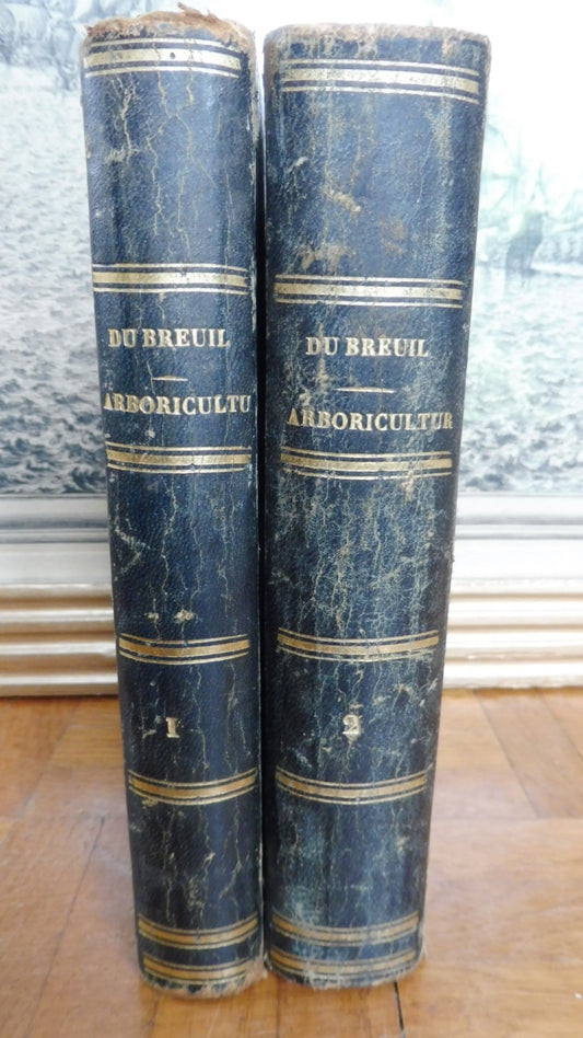 Cours d'arboriculture (M. A. Du Breuil) 1854 2/2