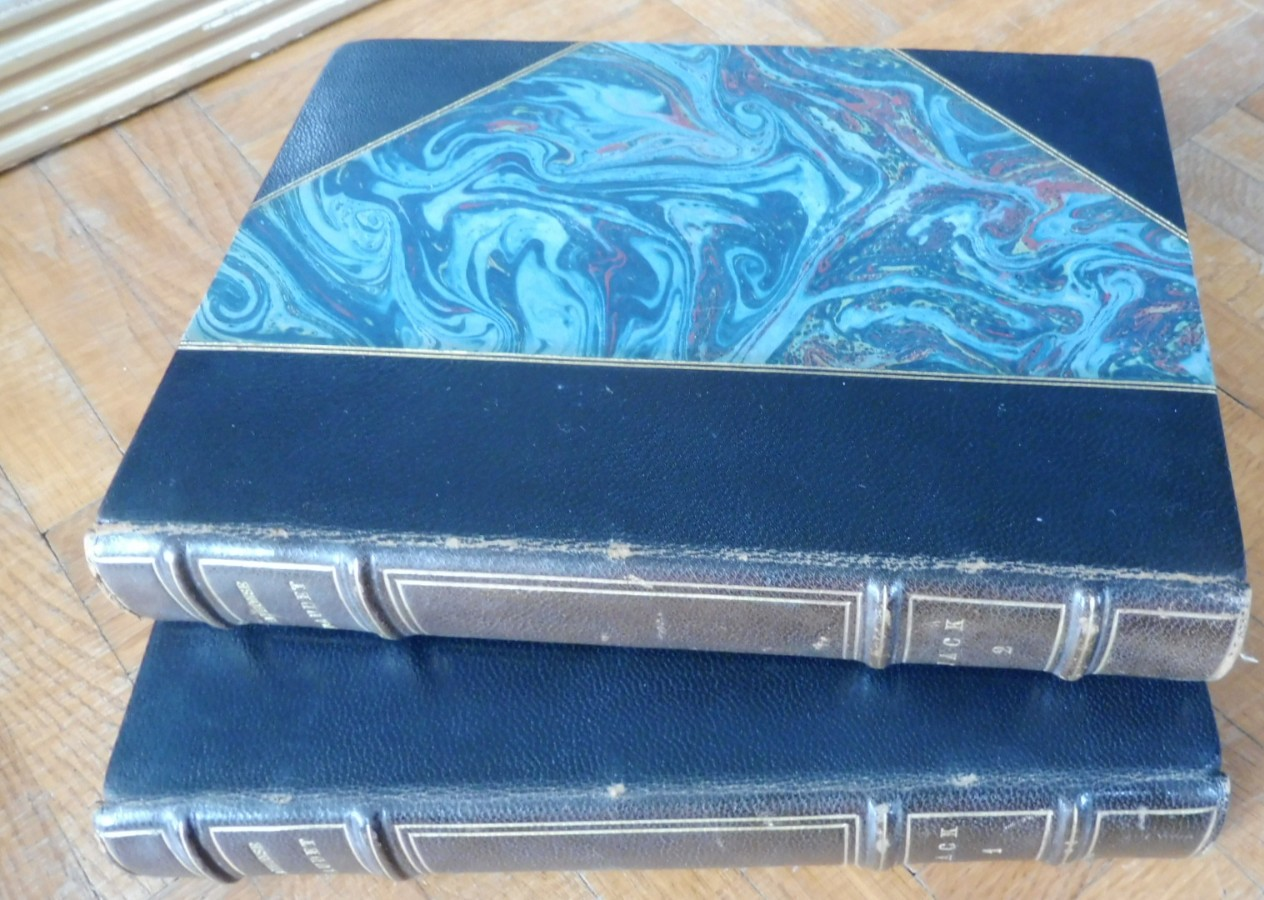 Jack (Alphonse Daudet) 1929 2/2 illus. Pierre Rousseau RIVES
