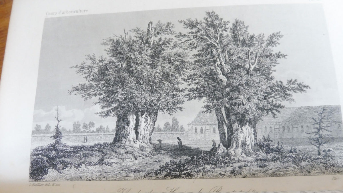 Cours d'arboriculture (M. A. Du Breuil) 1854 2/2