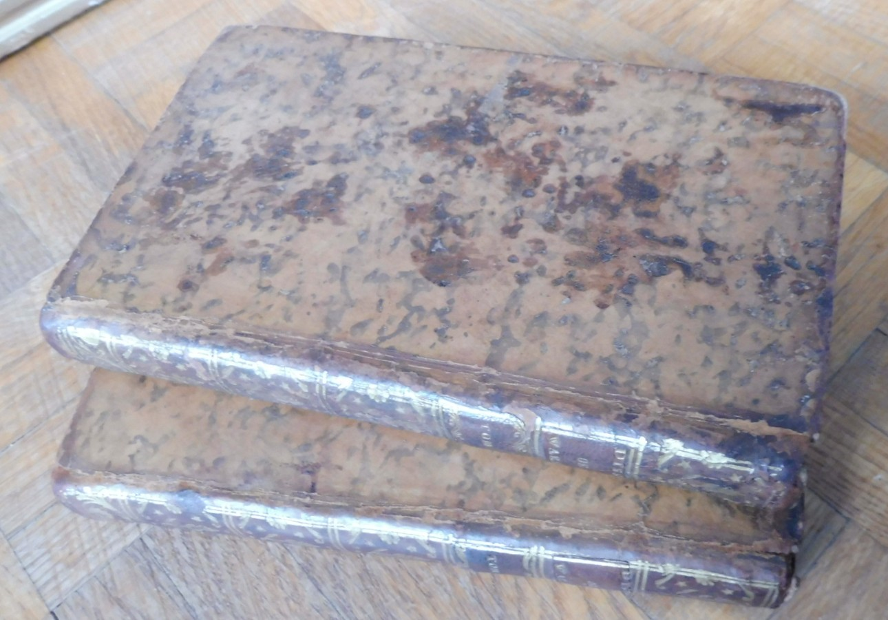 Dissertation sur les tremblements de terre (M. Warburton) 1754 2/2